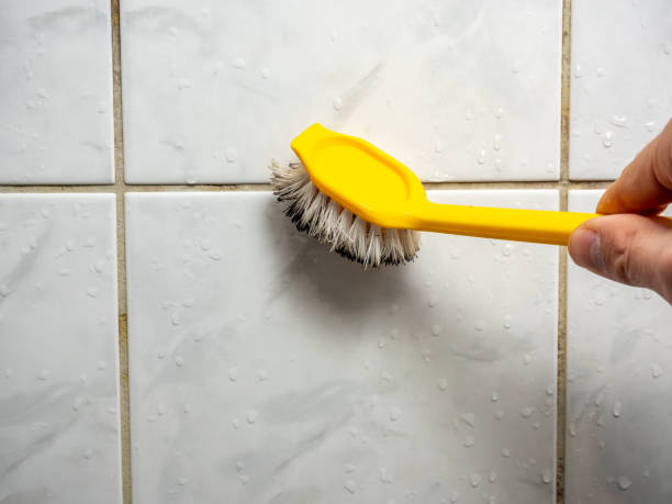 Professional Mold Removal in Loyal, WI