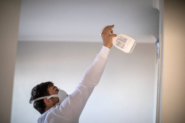 Best Attic Mold Removal  in Loyal, WI
