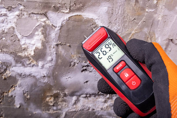 Best Best Mold Removal Companies  in Loyal, WI