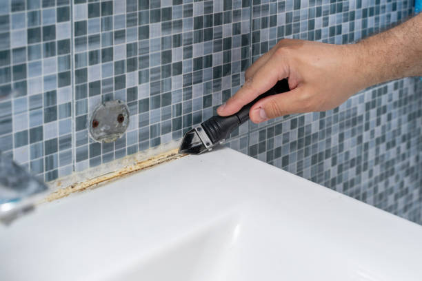 Best Local Mold Removal Service  in Loyal, WI